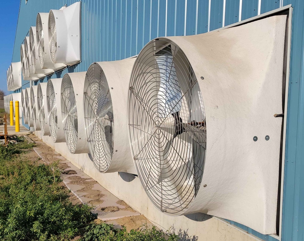 Wall Fan 60in Belt Drive