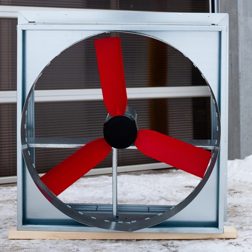 Box Fan 36" Direct Drive Galvanized Steel w/o Hood