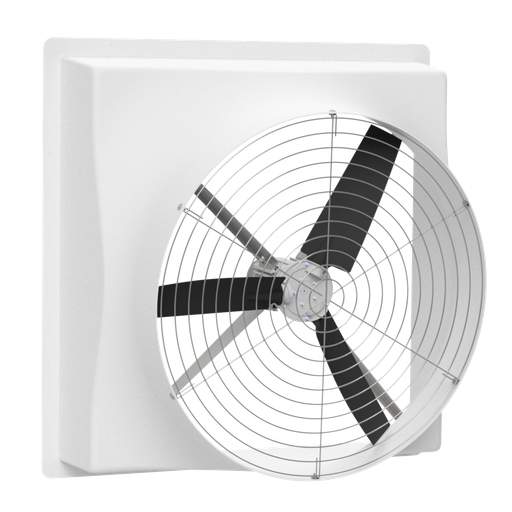 Wall Fan 50in Direct Drive